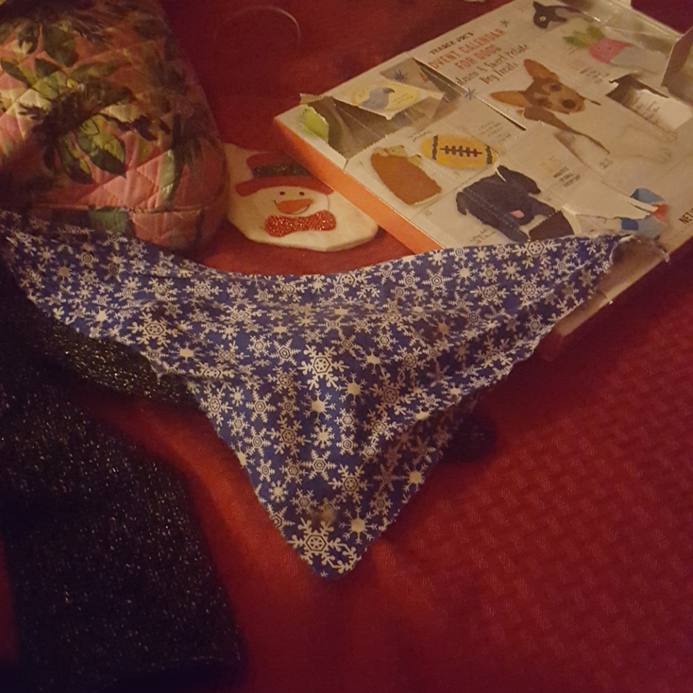 Small dog scarf